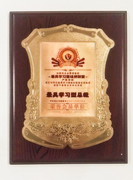 FA LOUINA企业荣誉图第四张