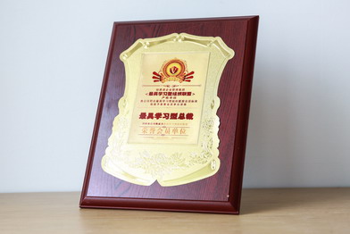 FA LOUINA企业荣誉图第七张